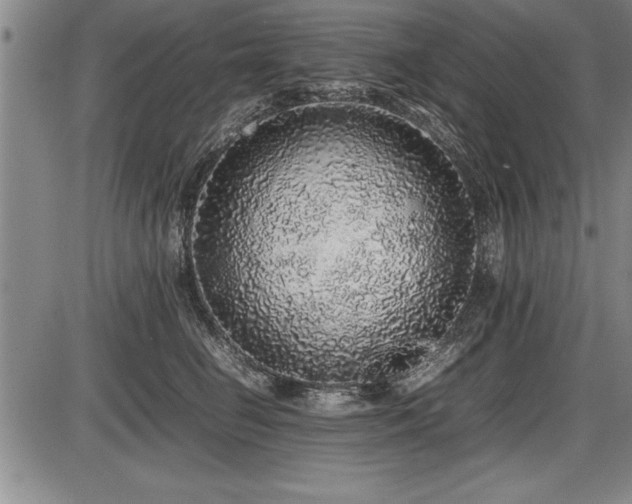 X0000086230662200703291331