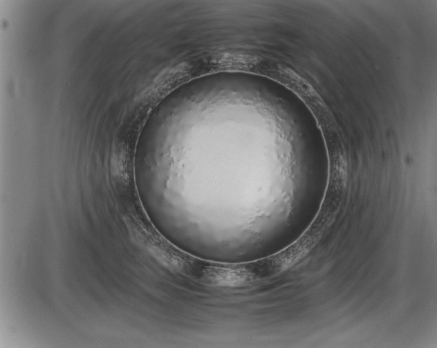 X0000086230663200703291331