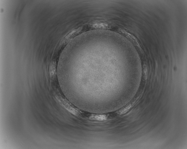 X0000086230665200703291331