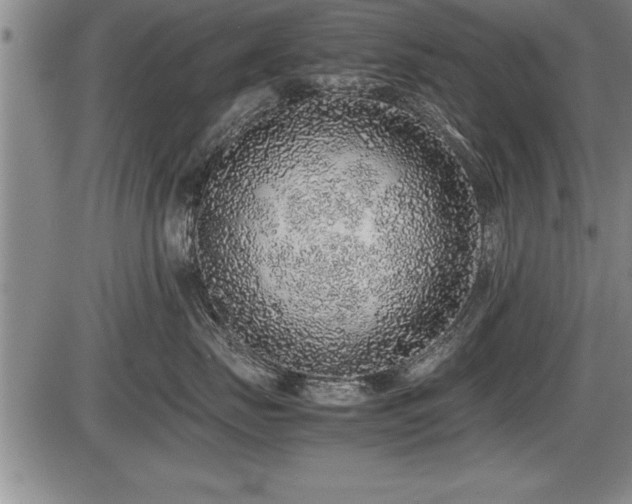 X0000086230671200703291331