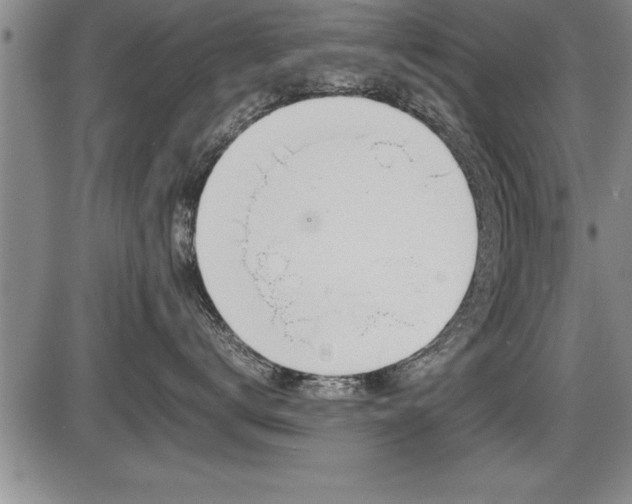 X0000086230672200703291331