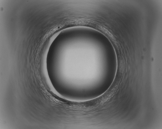 X0000086230673200703291330
