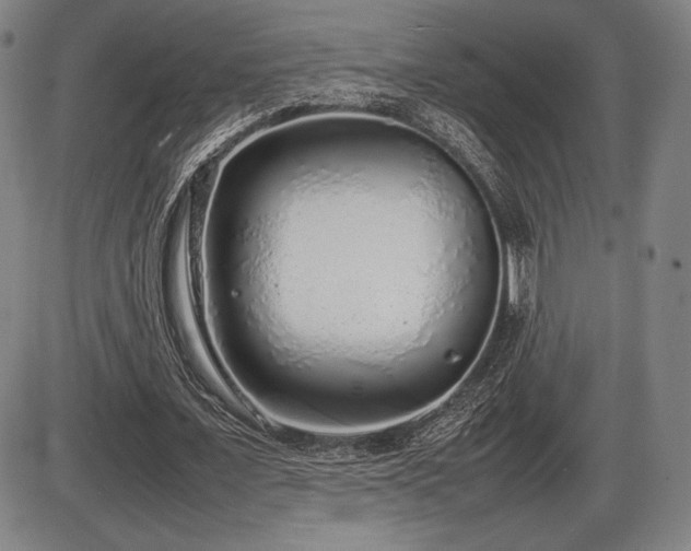 X0000086230675200703291330