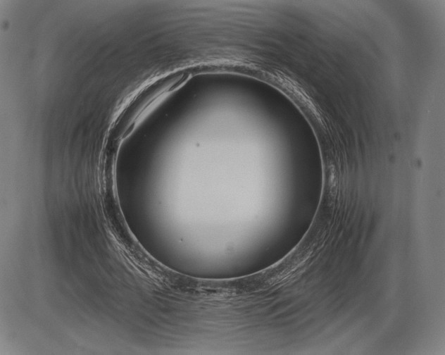 X0000086230676200703291330