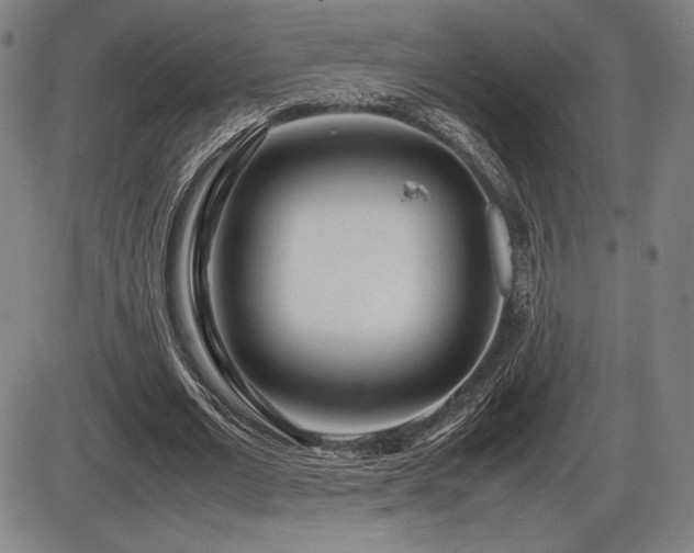 X0000086230677200703291330