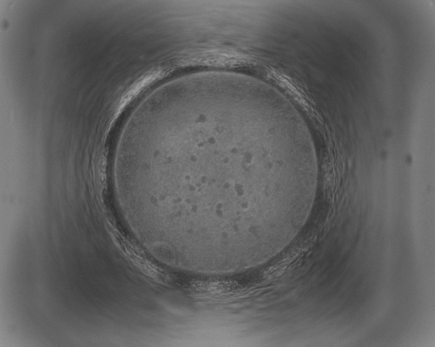 X0000086230679200703291330