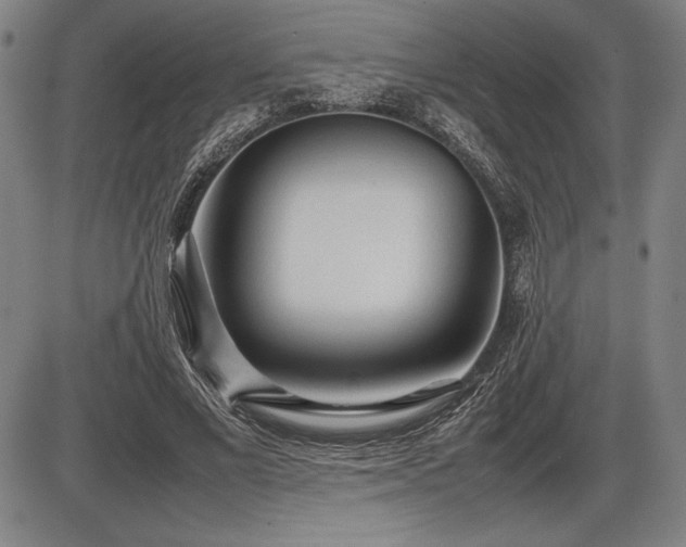 X0000086230685200703291330