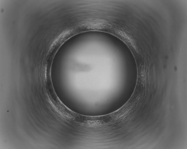 X0000086230686200703291330