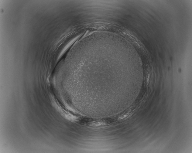 X0000086230696200703291330