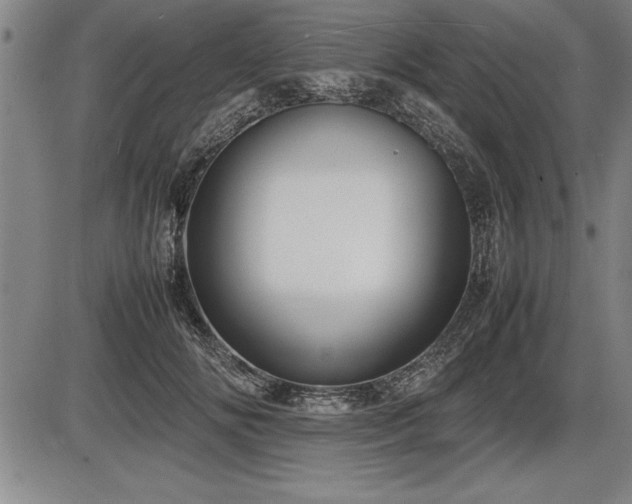 X0000086230702200703291330