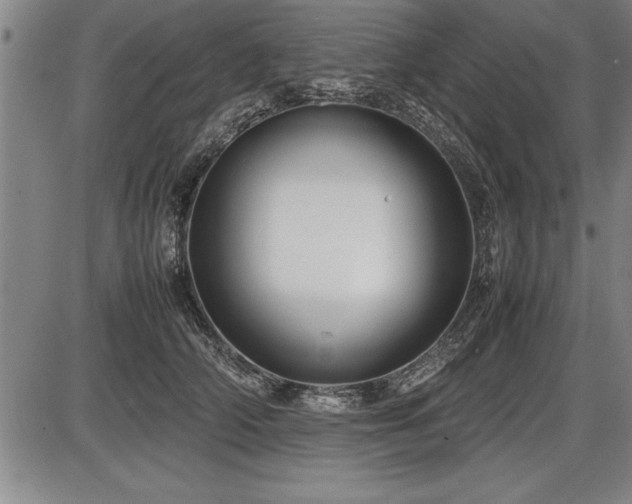 X0000086230706200703291330