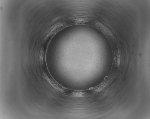 X0000086230710200703291329