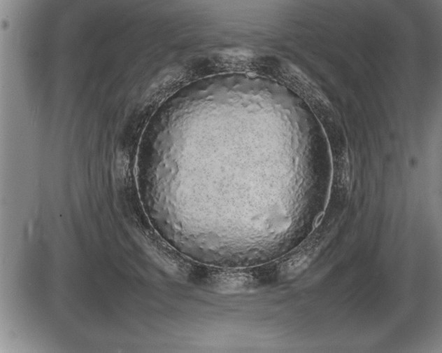 X0000086230711200703291329