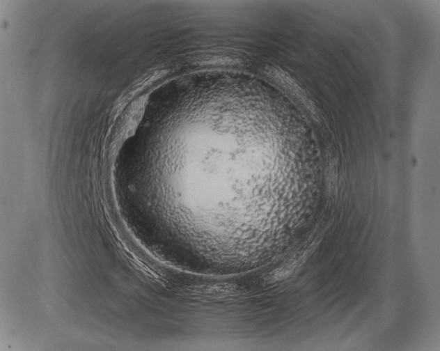 X0000086230721200703291328