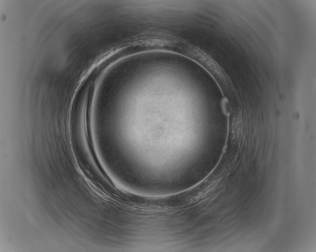 X0000086230722200703291328