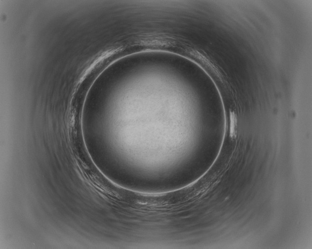 X0000086230723200703291329