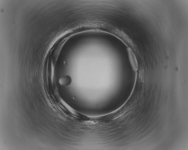 X0000086230724200703291329