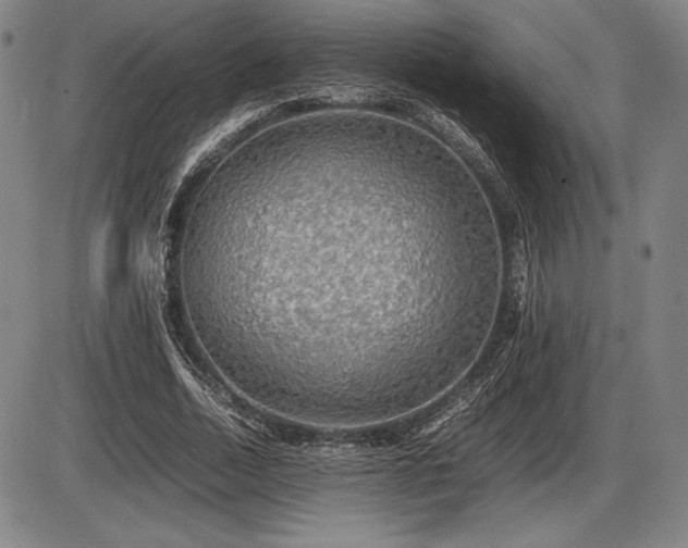 X0000086230730200703291329