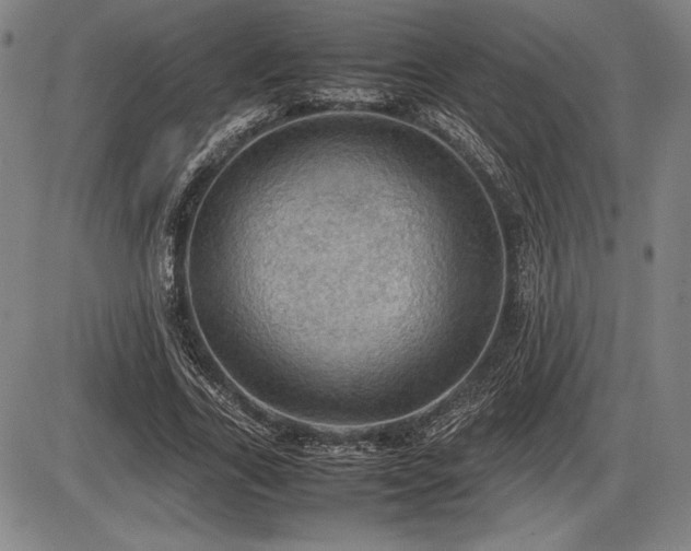 X0000086230731200703291329