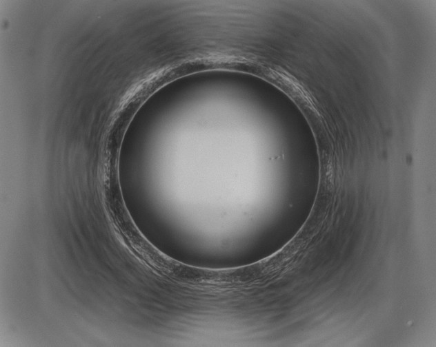 X0000086230732200703291329