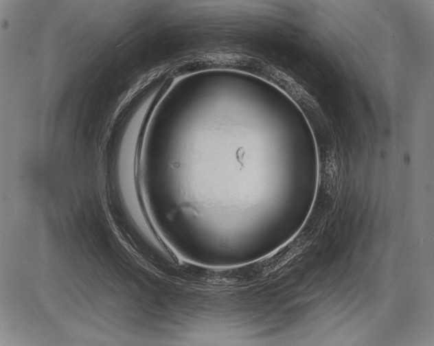 X0000086230734200703291329
