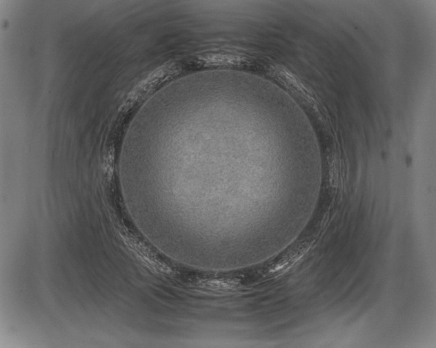 X0000086230737200703291329