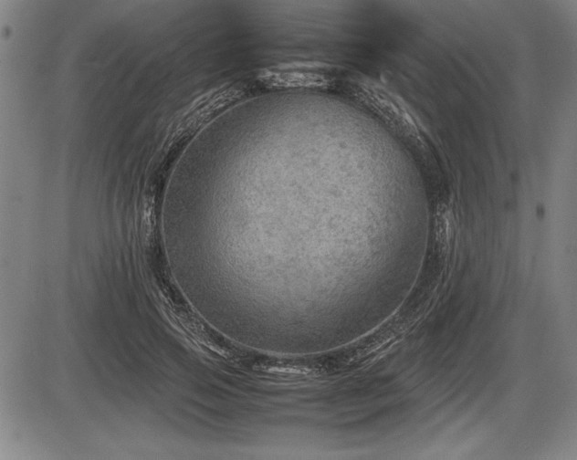 X0000086230741200703291329