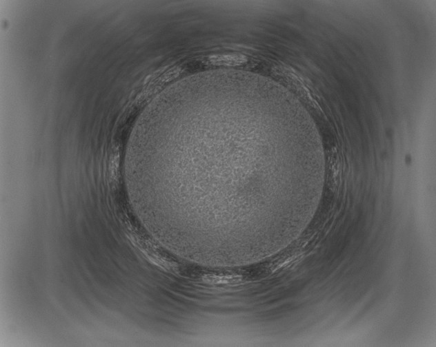 X0000086230745200703291329