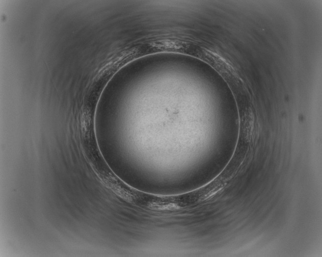 X0000086230747200703291329