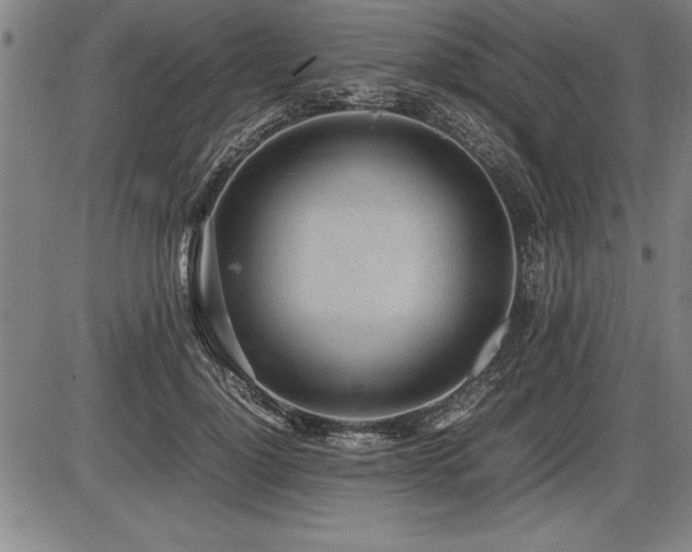 X0000086230748200703291329