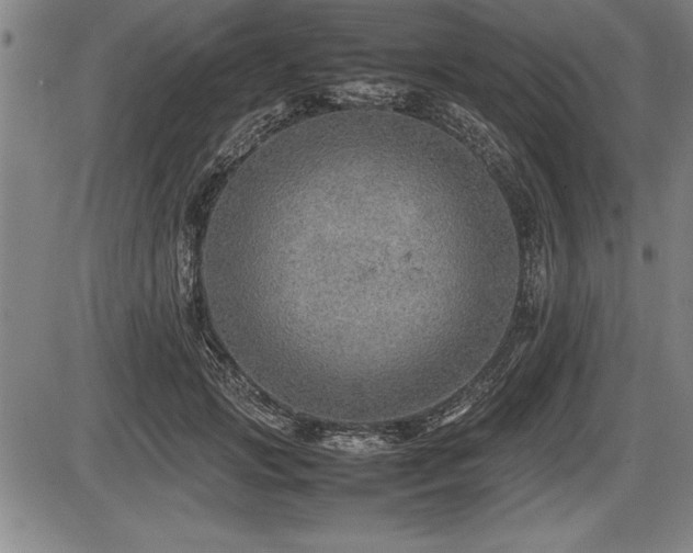 X0000086230749200703291329