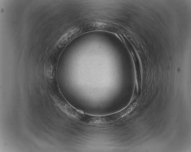 X0000086230750200703291329