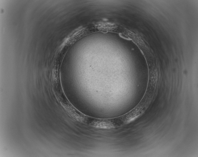 X0000086230755200703291329