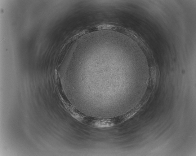 X0000086230761200703291329