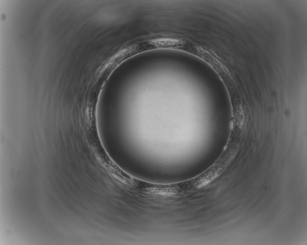 X0000086230763200703291329