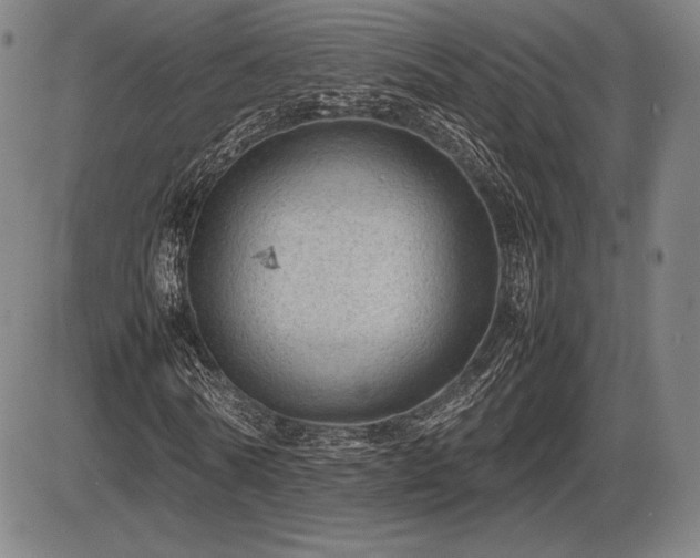 X0000086230770200703291328