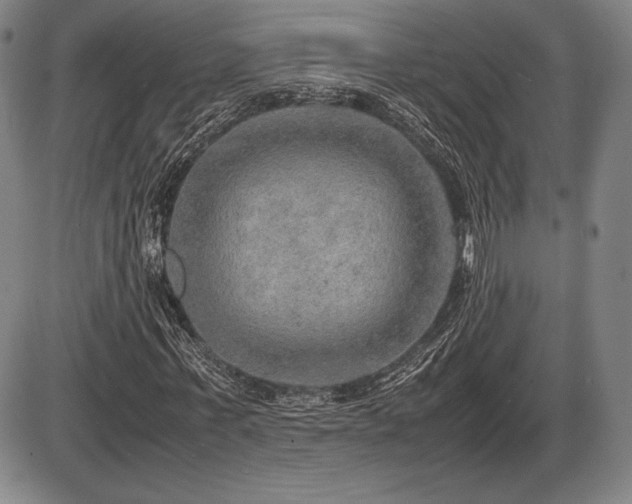X0000086230771200703291328