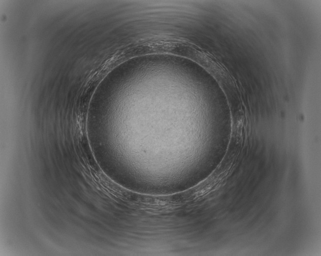 X0000086230772200703291328