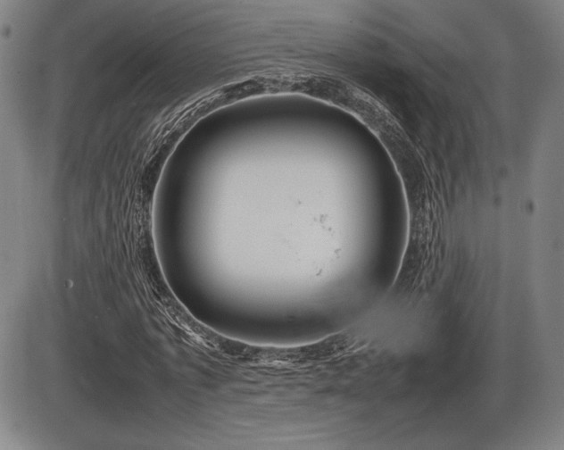 X0000086230773200703291328