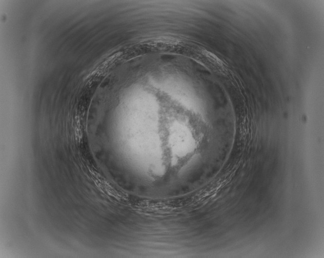 X0000086230774200703291328