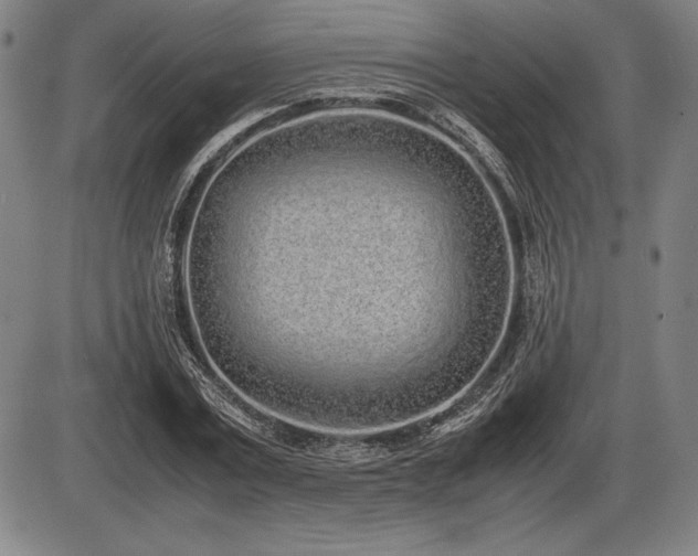 X0000086230779200703291328