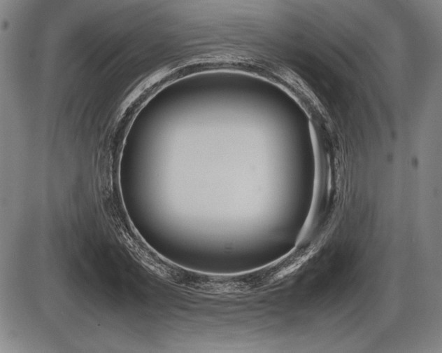 X0000086230781200703291328