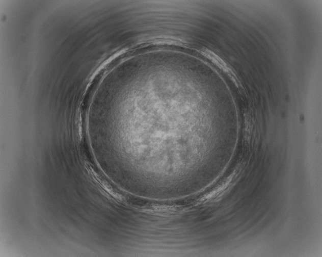 X0000086230782200703291328