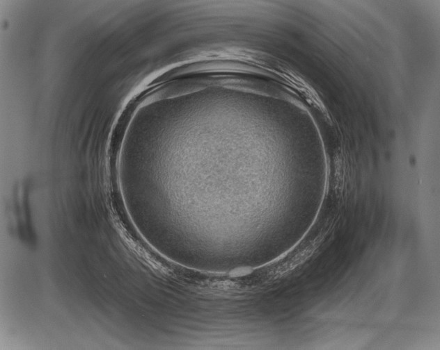 X0000086230784200703291328