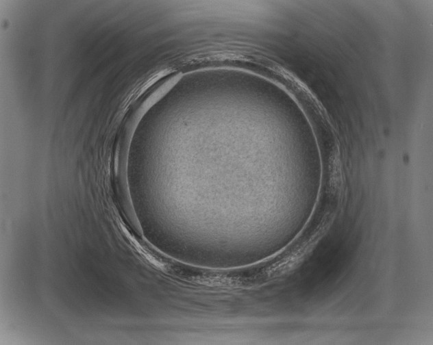 X0000086230785200703291328