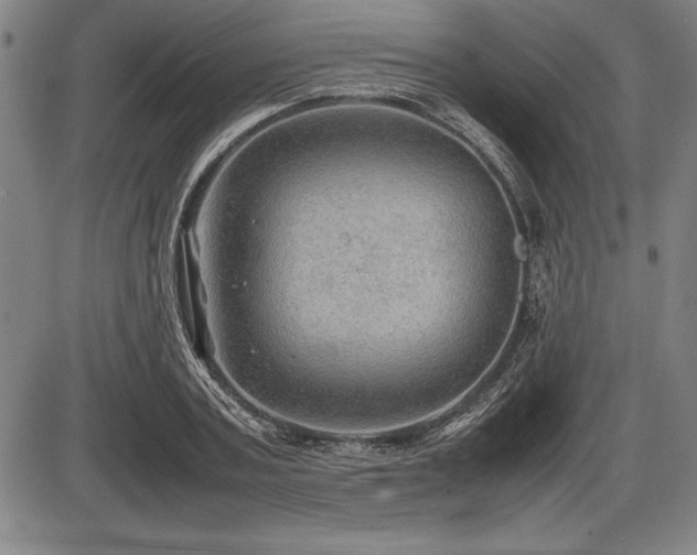 X0000086230787200703291328