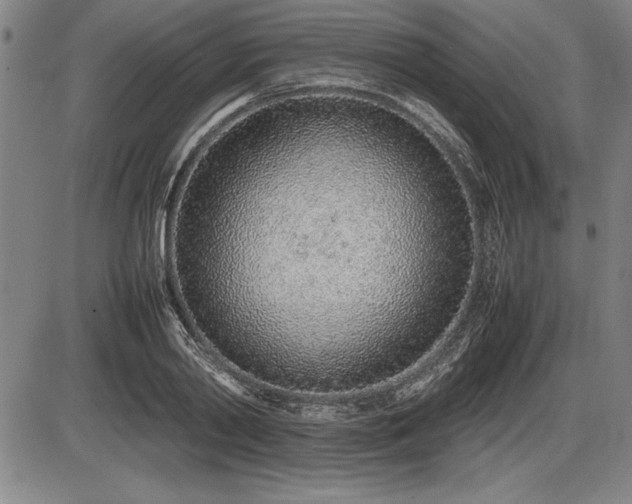 X0000086230790200703291328