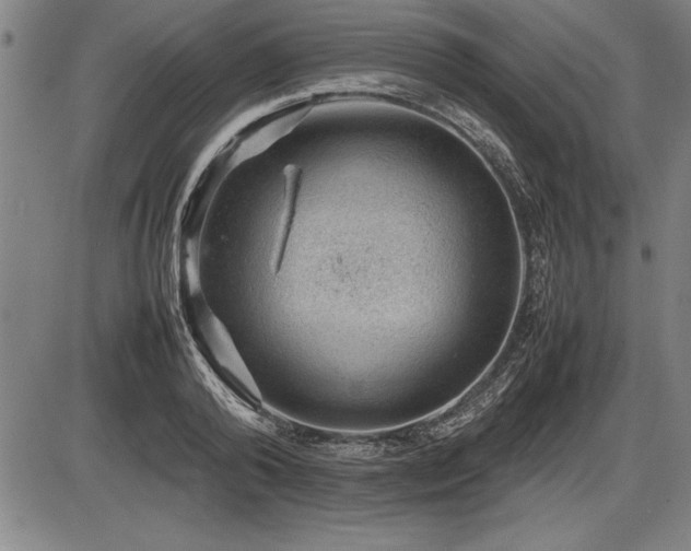 X0000086230792200703291328