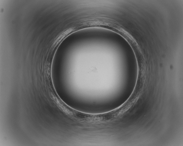 X0000086230793200703291328