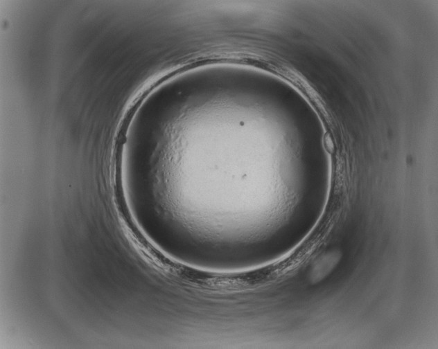 X0000086230795200703291328